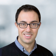 Dr. Paolo Tiso, collaborator from ETH, Zurich